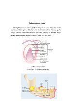 Конспект 'Odontogēnas un neodontogēnas žokļu cistas', 6.