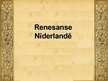 Презентация 'Renesanse Nīderlandē', 8.