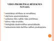 Презентация 'Vides problēmas Rēzeknes novadā', 7.