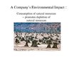 Презентация 'A Company's Environmental Impact', 6.