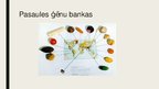 Презентация 'Kultūraugu gēnu bankas', 7.