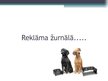 Презентация 'Reklāmas projekts suņu barībai', 16.