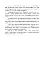 Эссе 'Ziemeļīrija - vispārējs raksturojums un loma', 2.