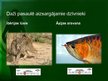 Презентация 'Bioloģiskās vides aizsardzība', 16.