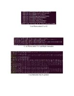 Конспект 'Pipeline ar VLAN iezīmēm', 4.