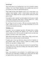 Конспект 'Aspazijas lugas “Sidraba šķidrauts” analīze', 7.