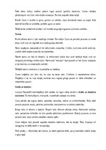 Конспект 'Aspazijas lugas “Sidraba šķidrauts” analīze', 12.