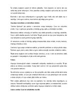 Конспект 'Aspazijas lugas “Sidraba šķidrauts” analīze', 14.