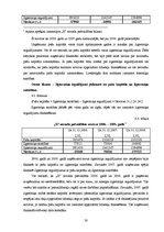 Реферат 'Uzņēmuma finanšu plānošanas process un analīze "X" novada pašvaldībā', 30.