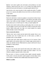 Конспект 'Brāļu Kaudzīšu romāna “Mērnieku laiki” literāro tēlu analīze', 8.