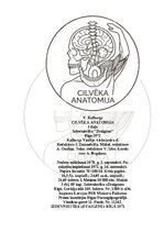 Э-книга 'Cilvēka anatomija: galvaskauss', 1.