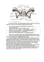Э-книга 'Cilvēka anatomija: galvaskauss', 4.