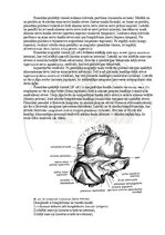 Э-книга 'Cilvēka anatomija: galvaskauss', 8.