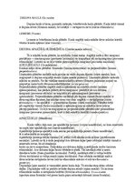 Э-книга 'Cilvēka anatomija: galvaskauss', 15.