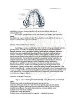 Э-книга 'Cilvēka anatomija: galvaskauss', 22.