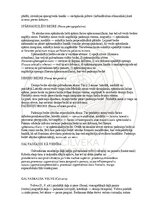 Э-книга 'Cilvēka anatomija: galvaskauss', 25.