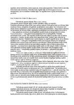 Э-книга 'Cilvēka anatomija: galvaskauss', 26.