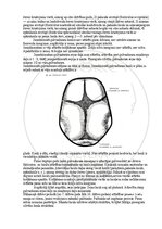Э-книга 'Cilvēka anatomija: galvaskauss', 28.