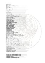 Э-книга 'Cilvēka anatomija: galvaskauss', 32.