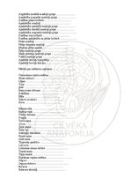 Э-книга 'Cilvēka anatomija: galvaskauss', 33.