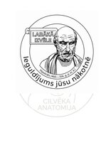 Э-книга 'Cilvēka anatomija: galvaskauss', 35.