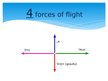 Презентация 'Principle of Flight', 3.