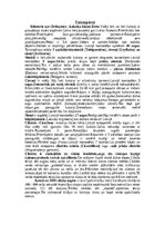 Конспект 'Taisnspārņi', 3.