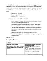 Отчёт по практике 'Vērošanās prakses atskaite sākumskolā, MT 3.klase', 15.