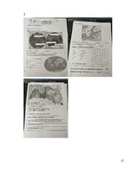 Отчёт по практике 'Vērošanās prakses atskaite sākumskolā, MT 3.klase', 27.