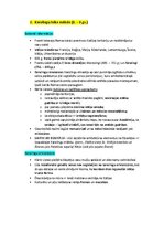 Конспект 'Pasaules mākslas vēsture', 10.