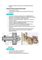 Конспект 'Pasaules mākslas vēsture', 14.