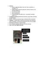 Конспект 'Pasaules mākslas vēsture', 19.