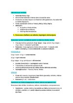 Конспект 'Pasaules mākslas vēsture', 32.