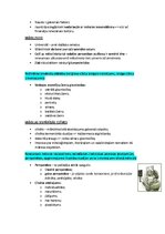 Конспект 'Pasaules mākslas vēsture', 34.