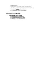 Конспект 'Pasaules mākslas vēsture', 78.