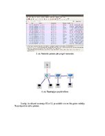 Конспект 'OpenFlow protokola darbības izpēte Mininet vidē', 4.