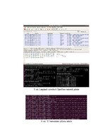 Конспект 'OpenFlow protokola darbības izpēte Mininet vidē', 5.