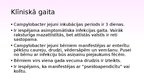 Презентация 'Klīniskais gadījums. Pediatrija. Kampilobaktēriju enterīts.', 15.