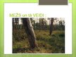 Презентация 'Meža ekosistēma', 2.
