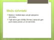 Презентация 'Meža ekosistēma', 8.