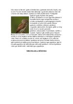 Реферат 'Īpaši aizsargājamo putnu sugas Latvijā un to apdraudējumu cēloņi', 6.