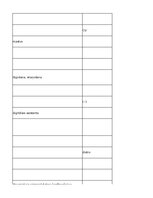 Конспект 'Information Technology - glossary', 30.