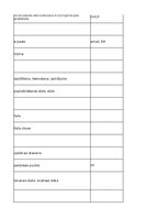 Конспект 'Information Technology - glossary', 31.