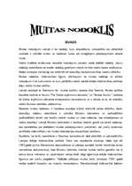 Эссе 'Muitas nodoklis', 1.