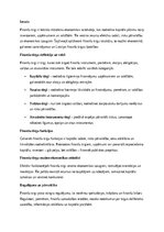 Эссе 'Finanšu tirgi un to nozīme mūsdienu ekonomikā', 1.