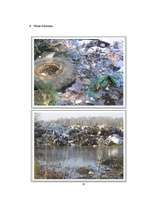 Реферат 'Ecological Problems in Latvia and in the World', 27.
