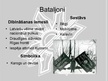 Презентация 'Latviešu strēlnieku bataljoni', 3.