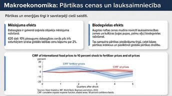 Презентация 'Enerģijas cenu ietekme uz ekonomiku', 8.