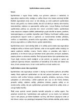 Образец документа 'Izpilddirektora amata apraksts', 1.