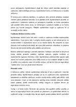 Образец документа 'Izpilddirektora amata apraksts', 3.